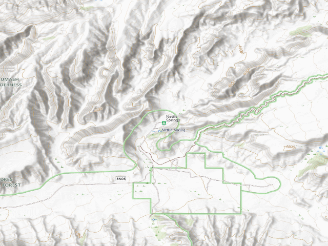 USGS topographic map of Nettle Springs