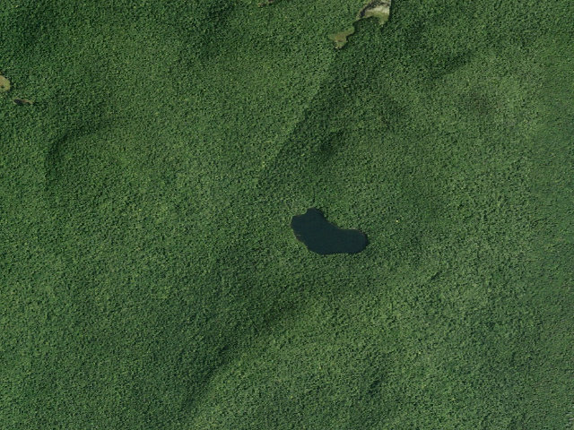 Aerial image of New Lake Campsite (Wilcox Lake Wild Forest)