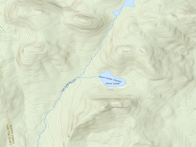 USGS topographic map of New Lake Campsite (Wilcox Lake Wild Forest)