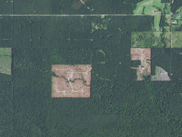 Aerial image of Nichols Camp Spot (Herron Family WMA)