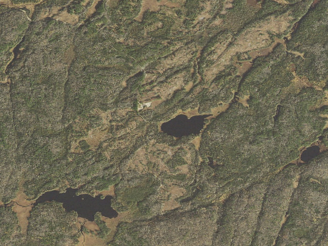 Aerial image of Nickel Lake Site 1