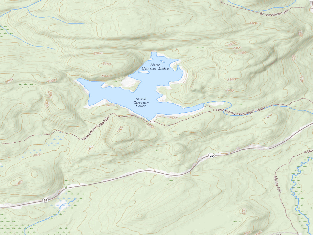 USGS topographic map of Nine Corner Lake #5 (Ferris Lake Wild Forest)