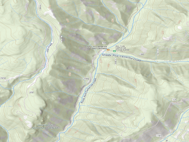 USGS topographic map of No. Fork Catherine Group Campground