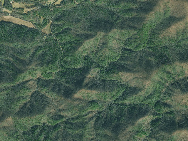 Aerial image of Noontootla Dispersed Area