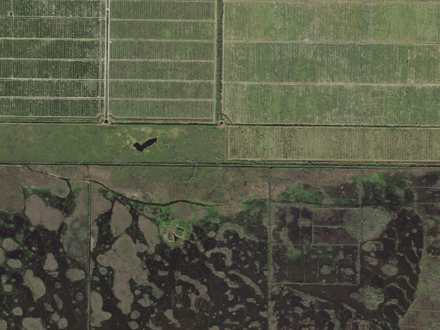 Aerial image of North Camp (Blue Cypress Conservation Area)