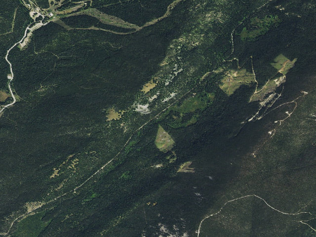 Aerial image of North Fork Flint Creek-001