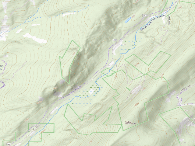 USGS topographic map of North Fork Flint Creek-003B