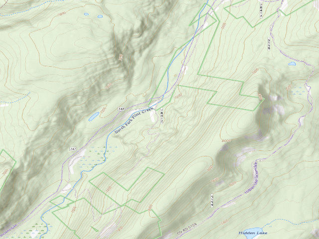 USGS topographic map of North Fork Flint Creek-005