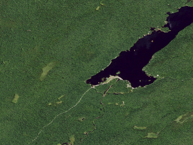 Aerial image of North Lake Designated Campsite #4 (Black River Wild Forest)