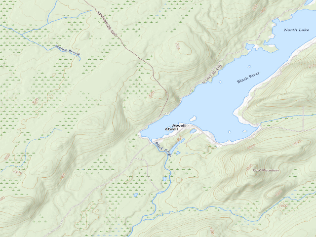 USGS topographic map of North Lake Designated Campsite #4 (Black River Wild Forest)