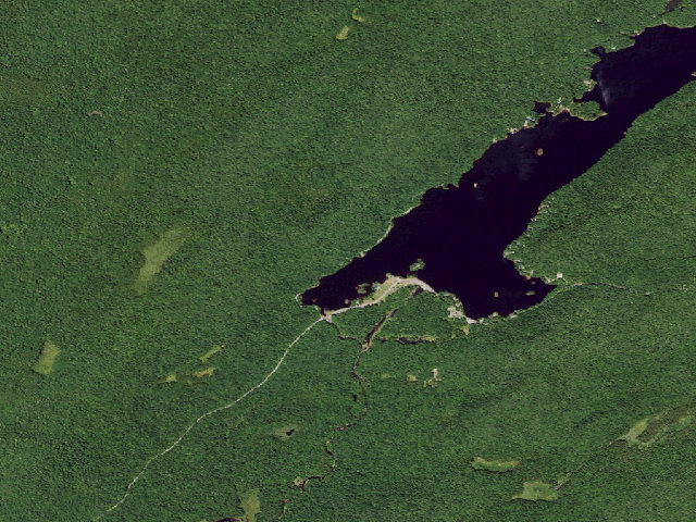 Aerial image of North Lake Designated Campsite #5 (Black River Wild Forest)