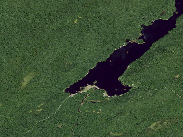 Aerial image of North Lake Designated Campsite #8 (Black River Wild Forest)