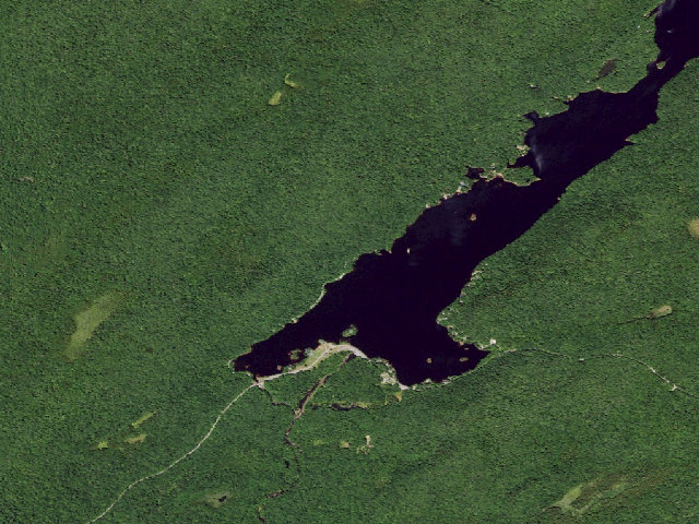 Aerial image of North Lake Designated Campsite #9 (Black River Wild Forest)