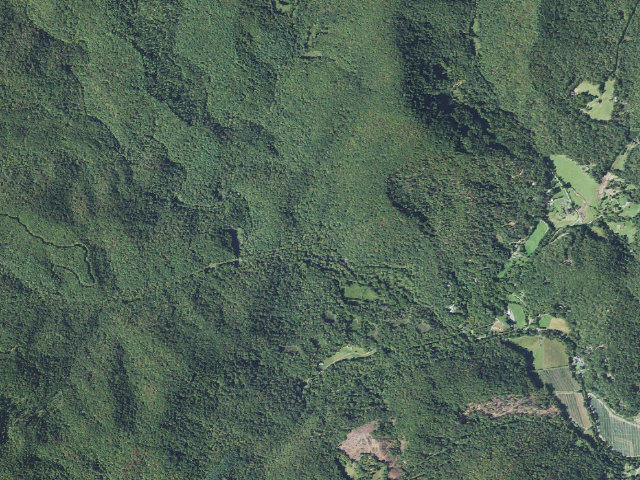 Aerial image of North Mills River Campground