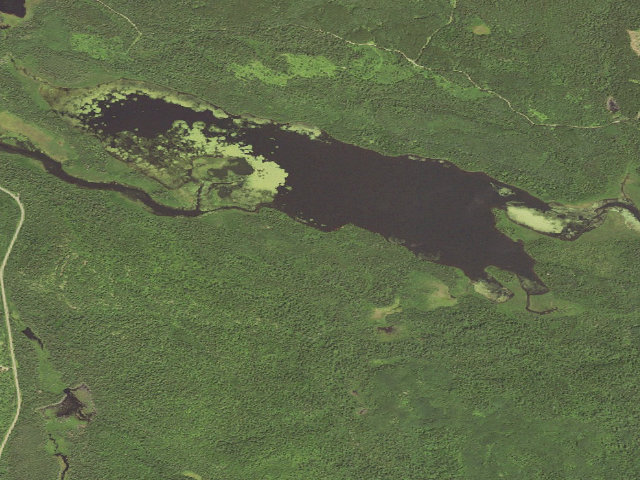 Aerial image of Northern Light Lake Site 1
