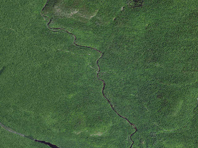 Aerial image of Northwoods Club Rd Campsite #1 (Vanderwhacker Mountain Wild Forest)