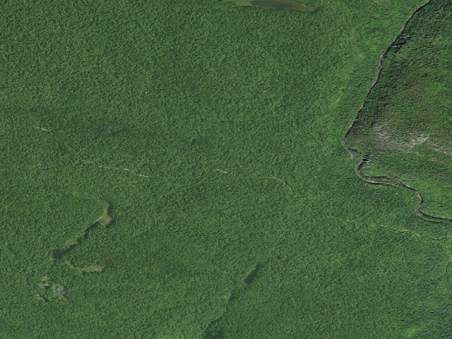 Aerial image of Northwoods Club Rd Campsite #6 (Vanderwhacker Mountain Wild Forest)