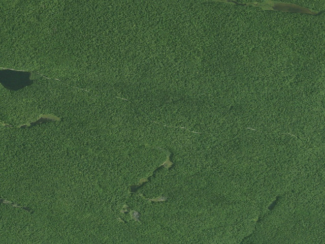 Aerial image of Northwoods Club Rd Campsite #7 (Vanderwhacker Mountain Wild Forest)