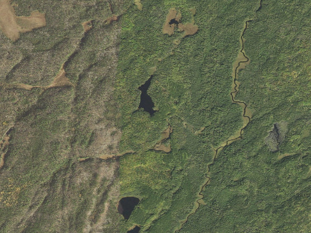 Aerial image of Norway Lake