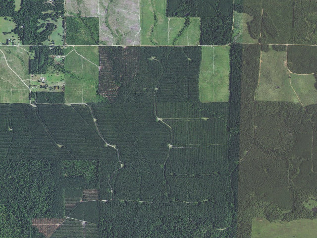 Aerial image of NW SE Shinewell Camp Spot (Herron Family WMA)