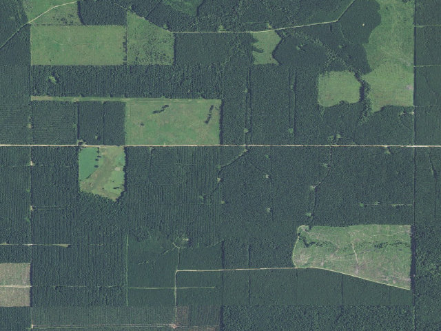 Aerial image of NW White Oak Springs Camp Spot (Herron Family WMA)