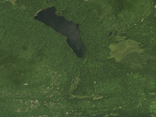 Aerial image of O'Neill Flow Tentsite [DEC #3978] (Blue Mountain Wild Forest)