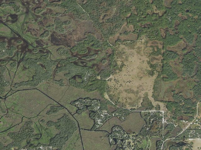 Aerial image of Oak Hammock (Potts Preserve)