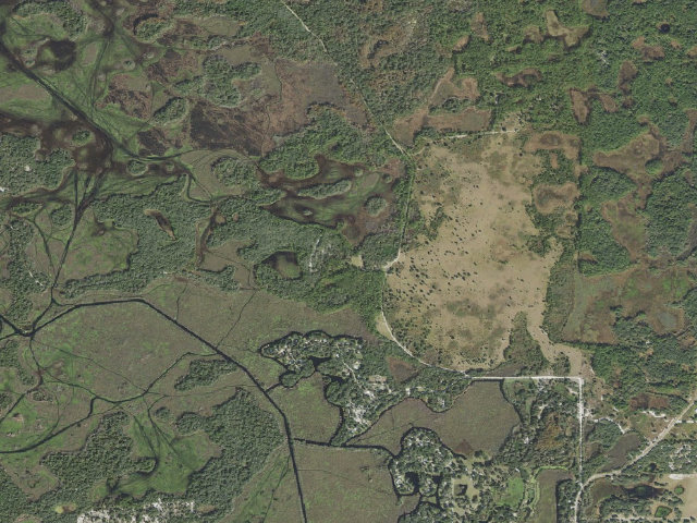 Aerial image of Oak Hammock (Potts Preserve)
