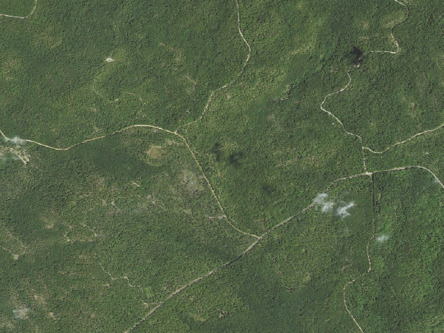 Aerial image of Oak Horse Camp