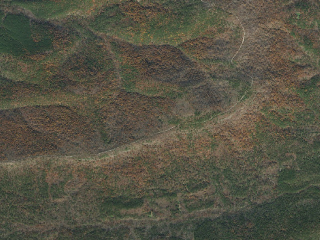Aerial image of Oak Moutain Trail Shelter