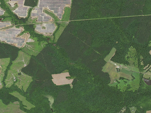 Aerial image of Oakley Forest WMA