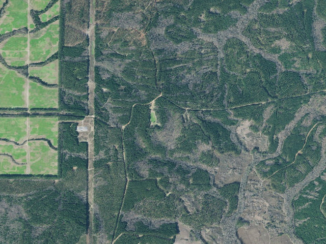 Aerial image of Oaky Woods WMA Primitive Campground #1