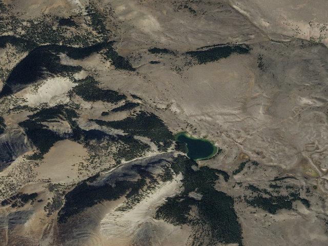 Aerial image of Off Lake In Trees North
