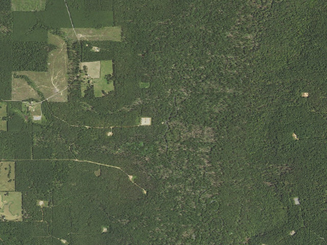 Aerial image of Old Field Primitive Camping