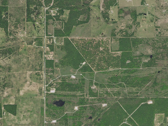 Aerial image of Old Oily (Cross Timbers WMA)