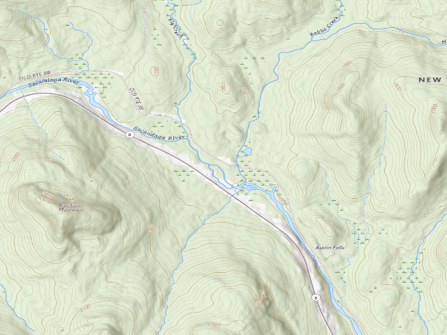 USGS topographic map of Old Route 8 Campsite (Jessup River Wild Forest)