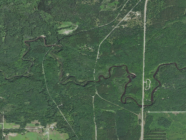 Aerial image of Old US- 131 State Forest Campground