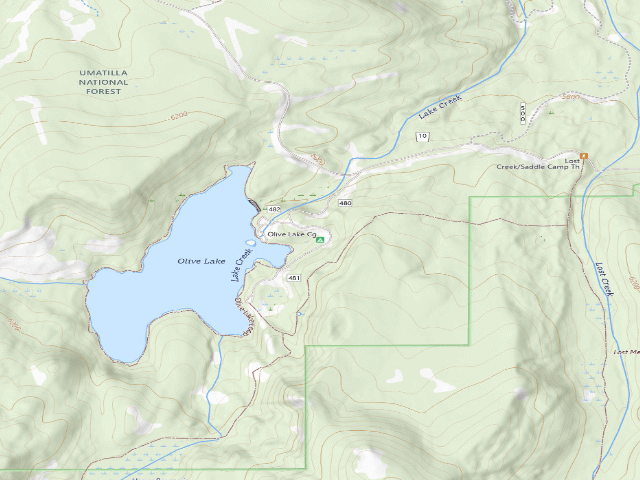 USGS topographic map of Olive Lake