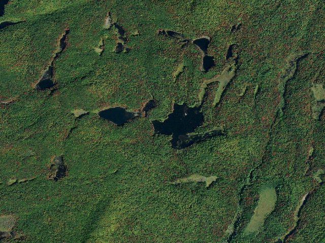 Aerial image of Olmstead Pond Campsite (Five Ponds Wilderness)