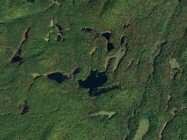 Aerial image of Olmstead Pond Campsite (Five Ponds Wilderness)