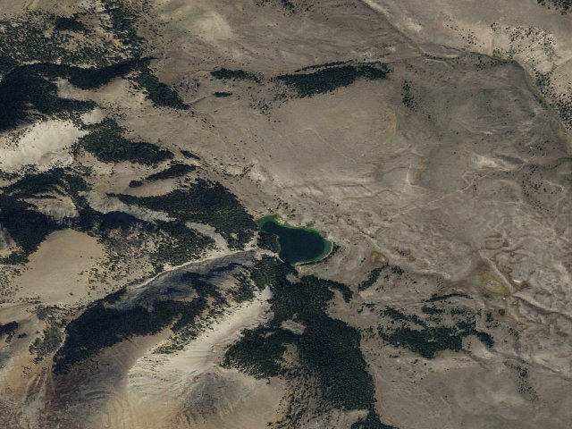 Aerial image of On Lake 2  Saw Fox In Water