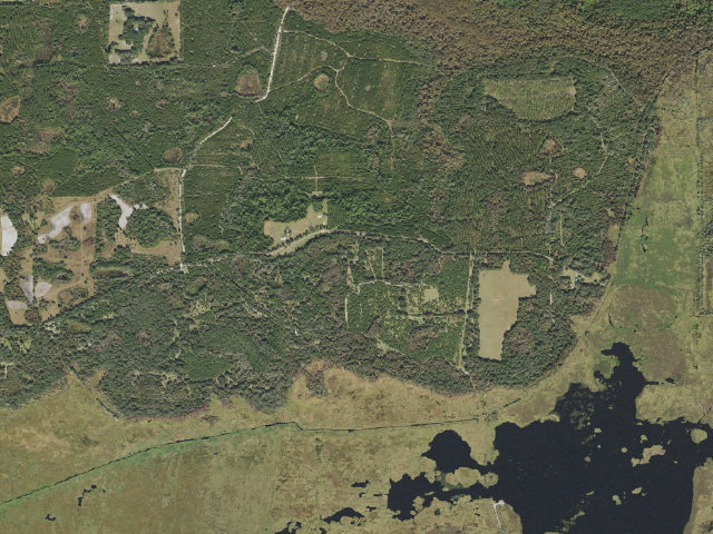Aerial image of Orange Creek Restoration Area group site with shelter
