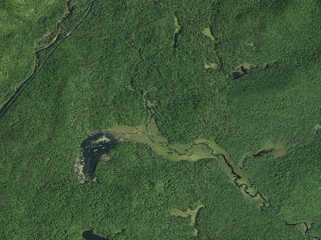 Aerial image of Oregon Trail Primitive Campsite (Wilcox Lake Wild Forest)