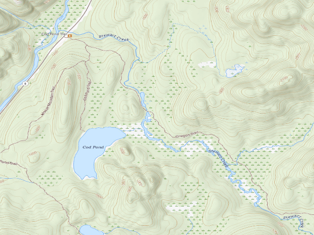 USGS topographic map of Oregon Trail Primitive Campsite (Wilcox Lake Wild Forest)