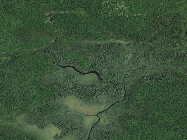 Aerial image of Osgood River Campsite #1 (Debar Mountain Wild Forest)