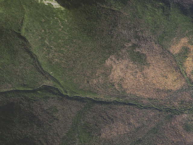 Aerial image of Osgood Tent Site