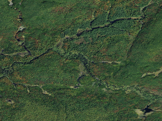 Aerial image of Oswegatchie River Campsite 19 (Five Ponds Wilderness)