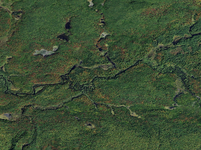 Aerial image of Oswegatchie River Campsite 24 (Five Ponds Wilderness)