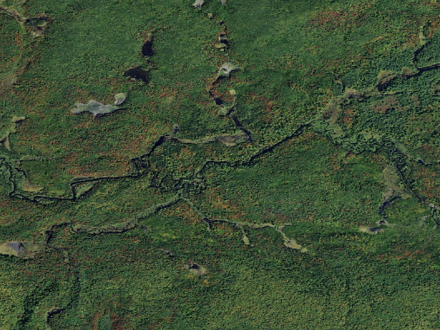 Aerial image of Oswegatchie River Campsite 25 (Five Ponds Wilderness)