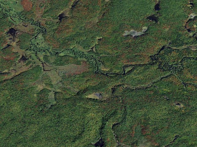 Aerial image of Oswegatchie River Campsite 31 (Five Ponds Wilderness)
